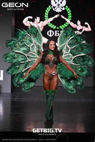 Grand Prix Dudushkin Fitness Family - 2025