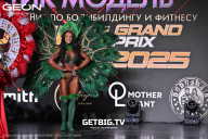 Grand Prix Dudushkin Fitness Family - 2025