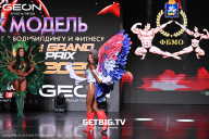 Grand Prix Dudushkin Fitness Family - 2025