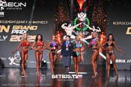 Grand Prix Dudushkin Fitness Family - 2025