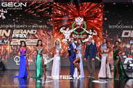 Grand Prix Dudushkin Fitness Family - 2025