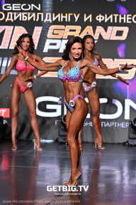 Grand Prix Dudushkin Fitness Family - 2025