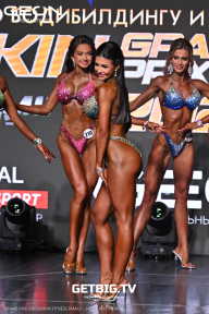 Grand Prix Dudushkin Fitness Family - 2025