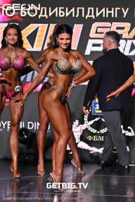 Grand Prix Dudushkin Fitness Family - 2025