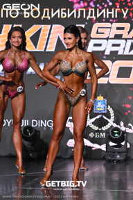 Grand Prix Dudushkin Fitness Family - 2025