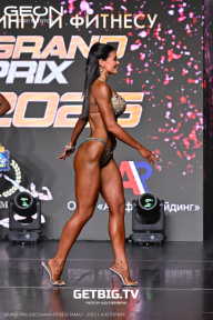 Grand Prix Dudushkin Fitness Family - 2025