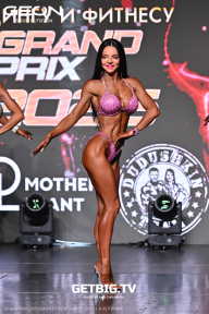 Grand Prix Dudushkin Fitness Family - 2025