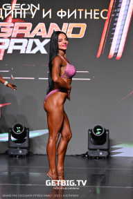 Grand Prix Dudushkin Fitness Family - 2025