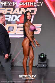 Grand Prix Dudushkin Fitness Family - 2025