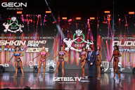 Grand Prix Dudushkin Fitness Family - 2025
