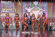 Grand Prix Dudushkin Fitness Family - 2025