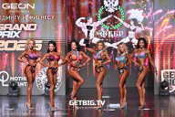 Grand Prix Dudushkin Fitness Family - 2025