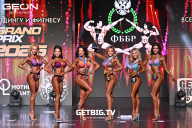 Grand Prix Dudushkin Fitness Family - 2025