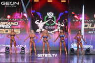 Grand Prix Dudushkin Fitness Family - 2025