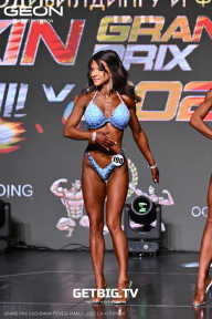 Grand Prix Dudushkin Fitness Family - 2025