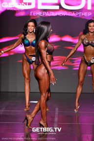 Grand Prix Dudushkin Fitness Family - 2025