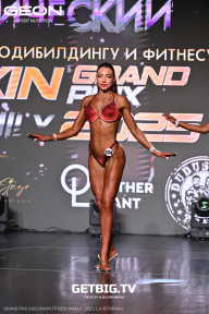 Grand Prix Dudushkin Fitness Family - 2025