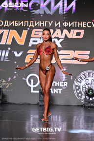 Grand Prix Dudushkin Fitness Family - 2025