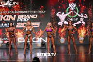 Grand Prix Dudushkin Fitness Family - 2025