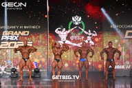 Grand Prix Dudushkin Fitness Family - 2025