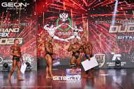 Grand Prix Dudushkin Fitness Family - 2025