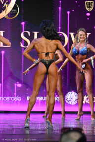 Fit Model Show - 2025