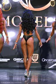 Fit Model Show - 2025
