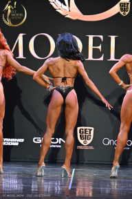 Fit Model Show - 2025