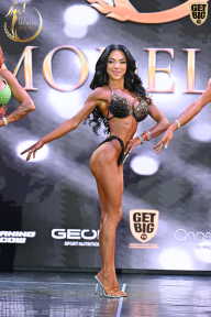 Fit Model Show - 2025