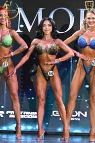 Fit Model Show - 2025