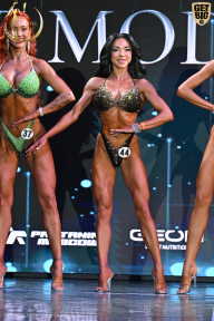 Fit Model Show - 2025