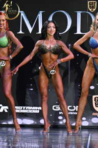 Fit Model Show - 2025