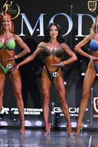 Fit Model Show - 2025