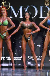 Fit Model Show - 2025