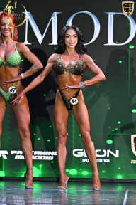 Fit Model Show - 2025