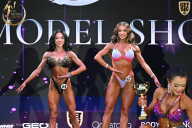 Fit Model Show - 2025
