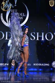 Fit Model Show - 2025