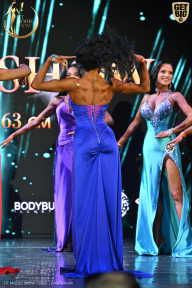 Fit Model Show - 2025
