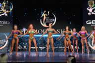 Fit Model Show - 2025
