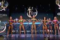 Fit Model Show - 2025