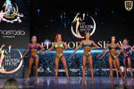 Fit Model Show - 2025