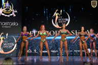 Fit Model Show - 2025