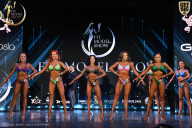Fit Model Show - 2025