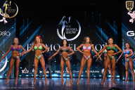 Fit Model Show - 2025