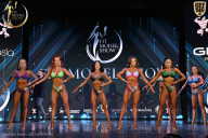 Fit Model Show - 2025