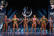 Fit Model Show - 2025