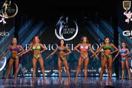 Fit Model Show - 2025