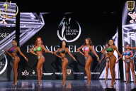 Fit Model Show - 2025
