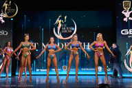 Fit Model Show - 2025