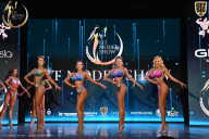 Fit Model Show - 2025